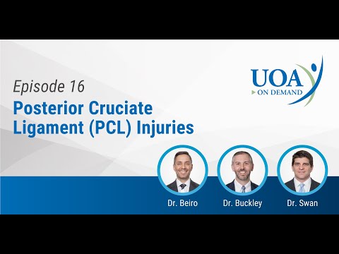 UOA On Demand: Posterior Cruciate Ligament (PCL) Injuries