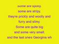 64 Zoo Lane With Lyrics
