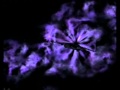 Into The Black Hole