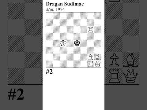 530) Can you solve this Mate In 2 chess problem? Comment your solution! #chessproblems #chesspuzzle