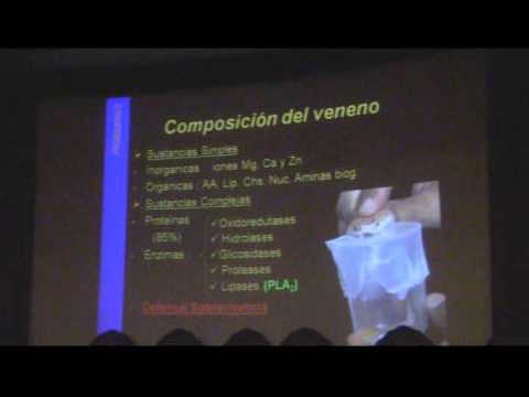 VENENO DE SERPIENTE - CONFERENCIA 1/3