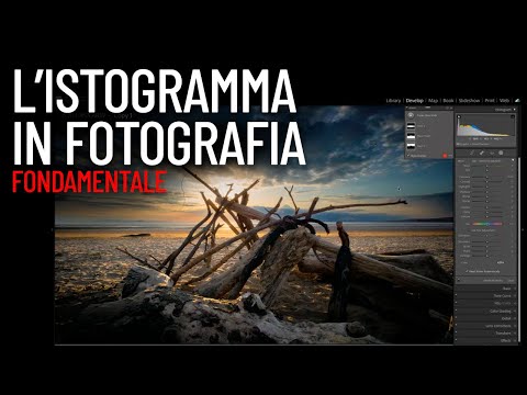 ISTOGRAMMA IN CAMERA E NEI SOFTWARE DI SVILUPPO: il riferimento per i fotografi.