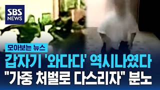 갑자기 '와다다' 역시나였다..가중 처벌로 다스리자 분노 / SBS / 모아보는 뉴스