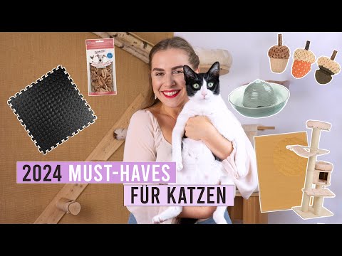 MUST-HAVE Produkte in 2024! | Spielzeug, Kratzbaum & Gesundheit | Amely Rose