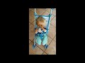 CICCIOBELLO Fa Una Passeggiata In Balcone Games For Children Giochi E Video Per Bambini