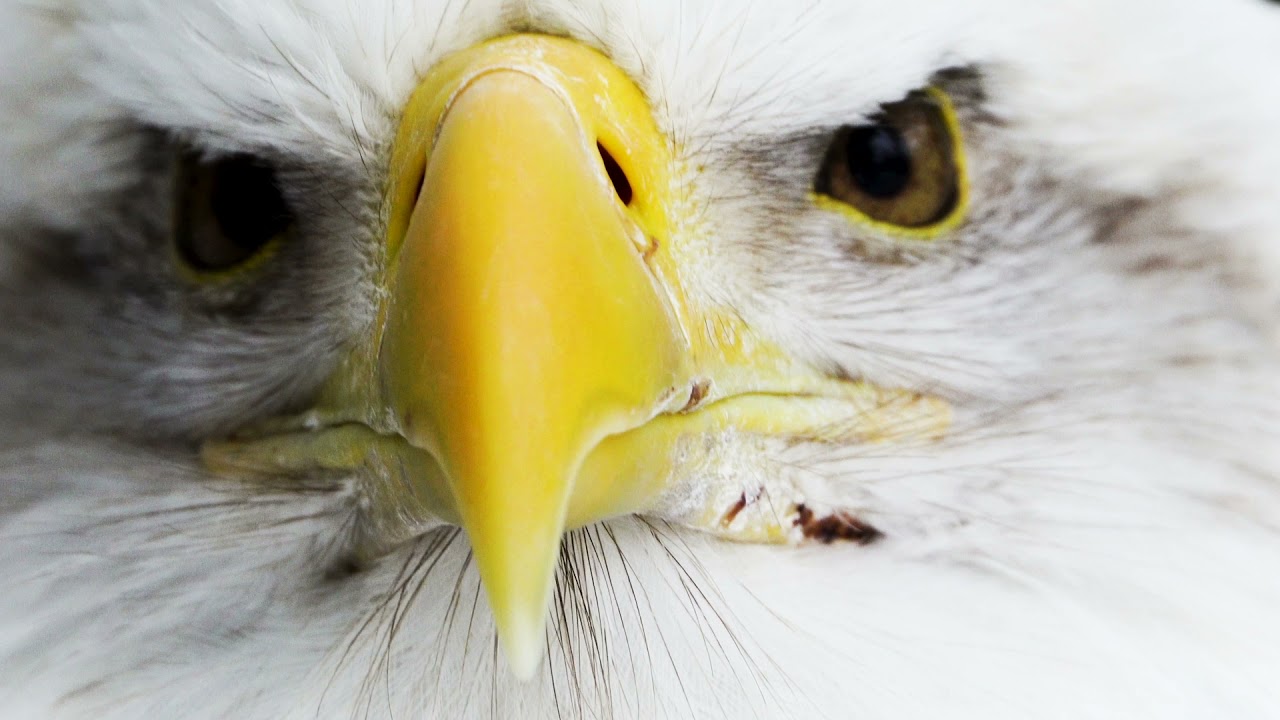 Tamron 150-500mm f/5-6.7 Di III VXD (Sony E)