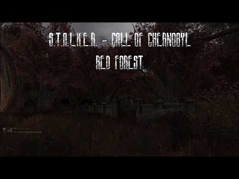 S.T.A.L.K.E.R. CoC Atmosphere - Red Forest