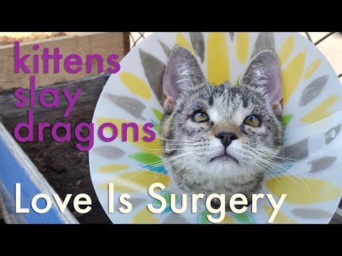 Love Is Surgery by Kittens Slay Dragons