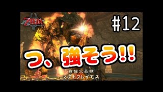 【実況】人生で初めてのゼルダの伝説 トワイライトプリンセスHD #11