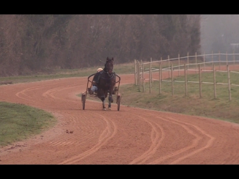 Carnet de Pistes Amiral Sacha - Florent Lamare - Grand Prix de France - 12/02/17