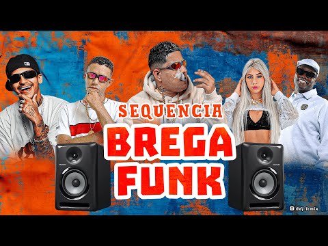SEQUENCIA BREGA FUNK -  SELEÇÃO DAS TOPS PARA O FIM DE ANO 2024