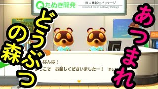 【あつまれどうぶつの森】レア魚釣りたい！！！！