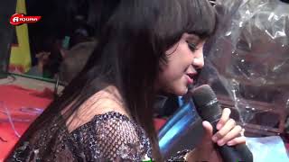 Download lagu Jihan Audy  Pria Istimewa New Pallapa Guwe Community Gegunung Wetan mp3