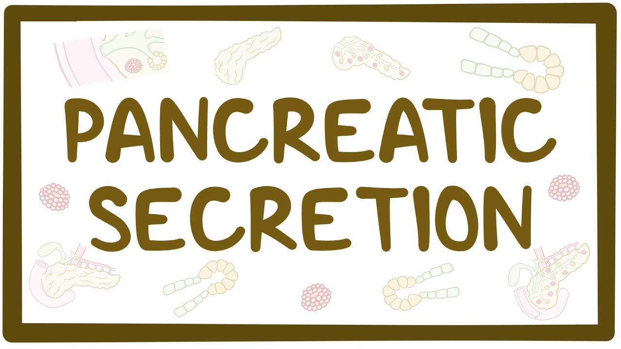 Pancreatic Secretions