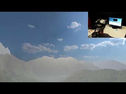 Achterbahn der Gefühle: Mit virtuellen Realitäten Emotionen verstehen