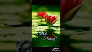 Good Morning Subha Sakala