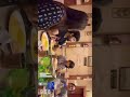 Vijay Tv Serial Rithika Dhiraviyam And Swathi Bhakyalakshmi Eramanarojave2 Shorts