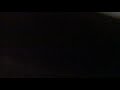 Baby Hippo Chris Screams