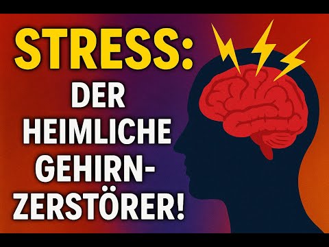 Stress: Der heimliche Gehirnzerstörer! #Stress #Gehirn #MentalHealth #fakten Hippocampus #cortisol