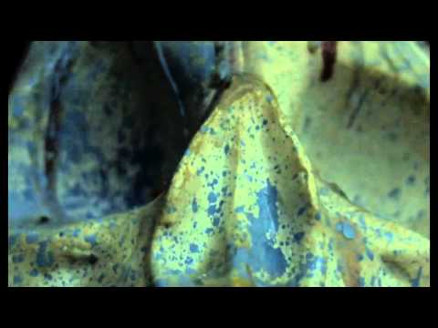 Dilimanjaro, RPG LaSesiune, Nestor - Nambudiri