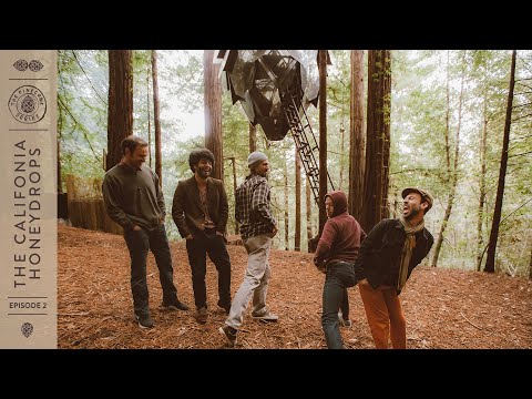 The California Honeydrops - In The Air | The Pinecone Series - Episode 2