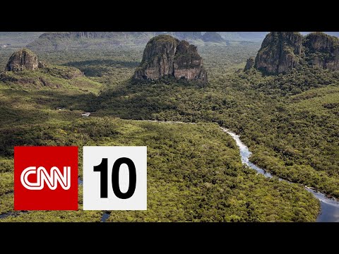 Why the Rainforest is Shrinking | November 12, 2019