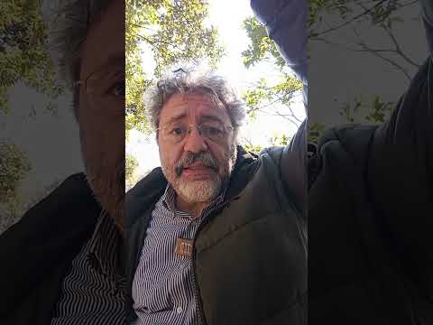 Il futuro dell'Ucraina e di Zelenski secondo Chatgpt