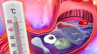 The Food You Can Cook Inside Your Body