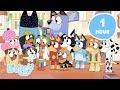LIVE Bluey And Bingo S Best Friends Friendship Moments And Games Bluey