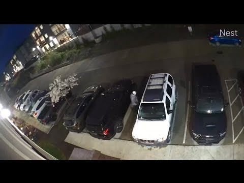 Car Prowlers Target the same apartment complex in Bellingham, WA on multiple different occasions