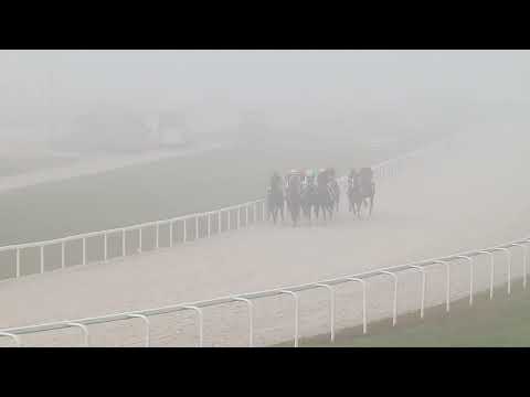 2022.11.13. 02. futam - NYERETLEN KÉTÉVESEK VERSENYE (IV.kat.) II.rész (szintetikus pálya)