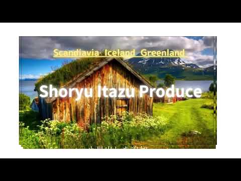 「ゾンビ軸」がアイスランドを二極化 – ビョークも反応