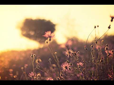 Warmduscher - Motorola Mix Mission, 24-12-2003