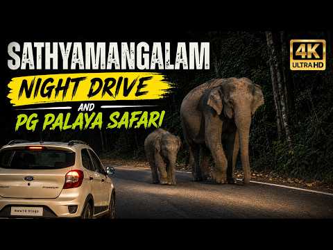 Sathyamangalam Night Drive !!! 4K