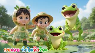 กบเอยทำไมถึงร้อง กบร้องท้องปวด  | เพลงเด็กคิดส์มีซอง 2569 | KidsMeSong