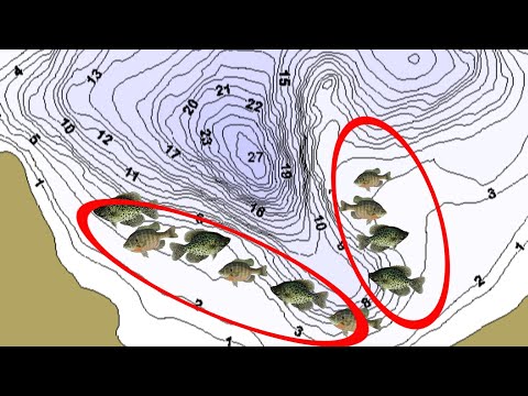 HOW to find PANFISH through the ICE (all season)