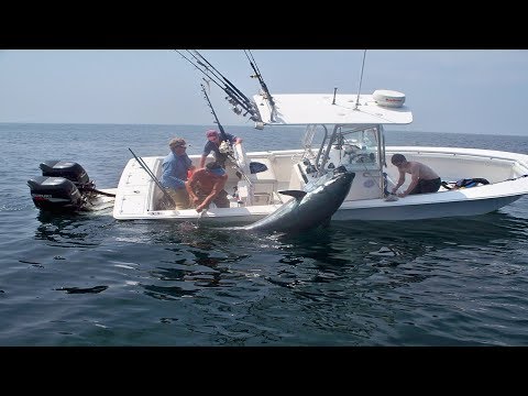 Amazing Big Tuna Fishing Skill On The Sea , Extreme Saltwater Fishing