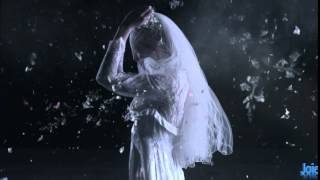 Gossling - A Lovers' Spat