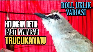Download lagu PALING DIMINATI..!!!Pancingan Trucukan Ngeriwik Ngerol Uplik Variasi Bikin Trucukan Lain Emosi Panas mp3 Download lagu PALING DIMINATI..!!!Pancingan Trucukan Ngeriwik Ngerol Uplik Variasi Bikin Trucukan Lain Emosi Panas mp3