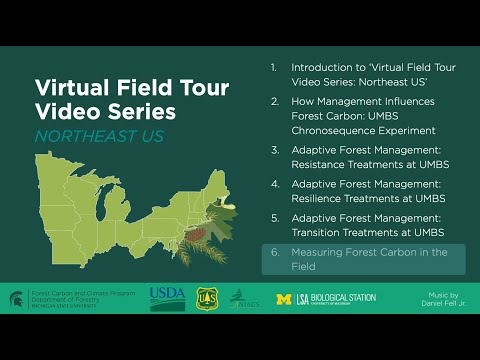 Measuring Forest Carbon in the Field