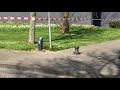 De brandweer voert metingen uit na gaslek in Maassluis
