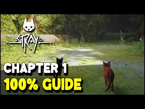 Stray CHAPTER 1: INSIDE THE WALL 100% Guide (All Collectibles & Trophies / Achievements)