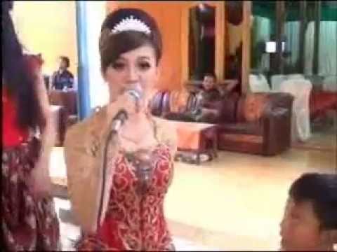 Pokoke Joget - All Artist - PRIMAVERRA