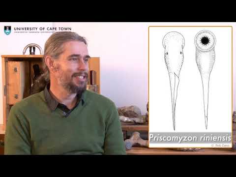 Palaeontologist Rob Gess on a Preserved fossil ecosystem, just before the Devonian extinction event