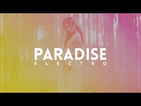 [Future Bass] Hamster feat. Lee - City Limits