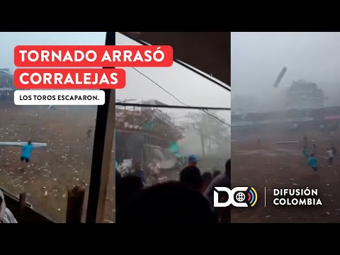 Tornado destruyó corralejas en San Ángel, Magdalena: caos y animales sueltos