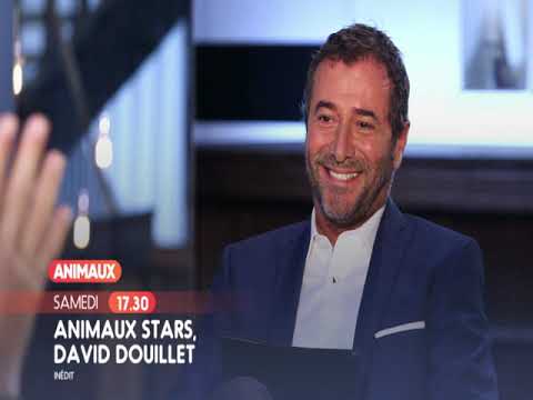 Bande annonce d'Animaux Stars sur Animaux