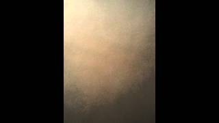 Only lonely girl - Jamye Fields