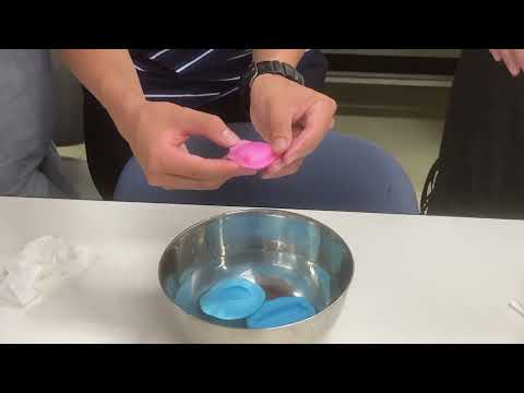 理学科 おゆまる化石レプリカ制作体験
