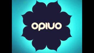 Good Thymes (Ray Charles Remix - Opiuo)